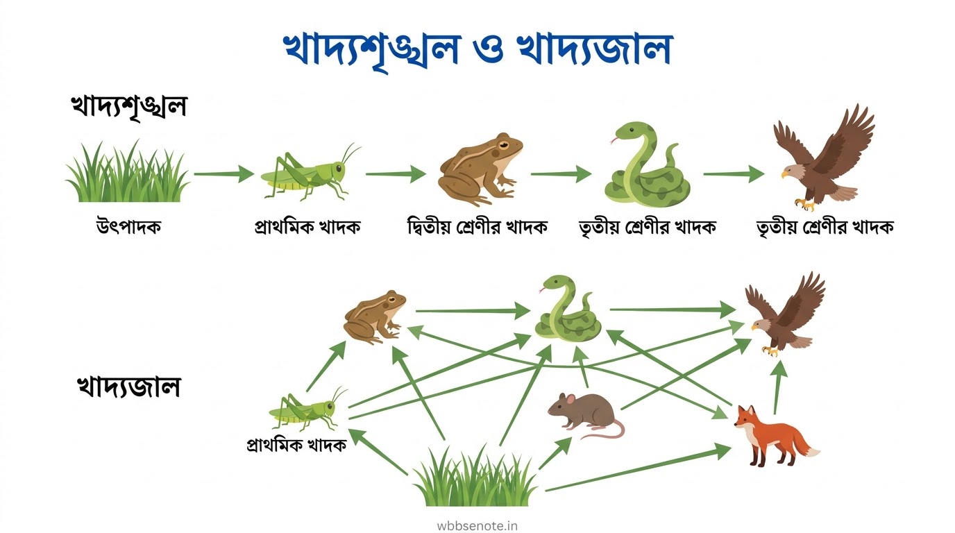 মাধ্যমিক জীবনবিজ্ঞান ৩য় ও ৪র্থ অধ্যায় প্রশ্নোত্তর ২০২৭ | বংশগতি বিবর্তন পরিবেশ | Madhyamik Life Science MCQ SAQ Diagram সহ