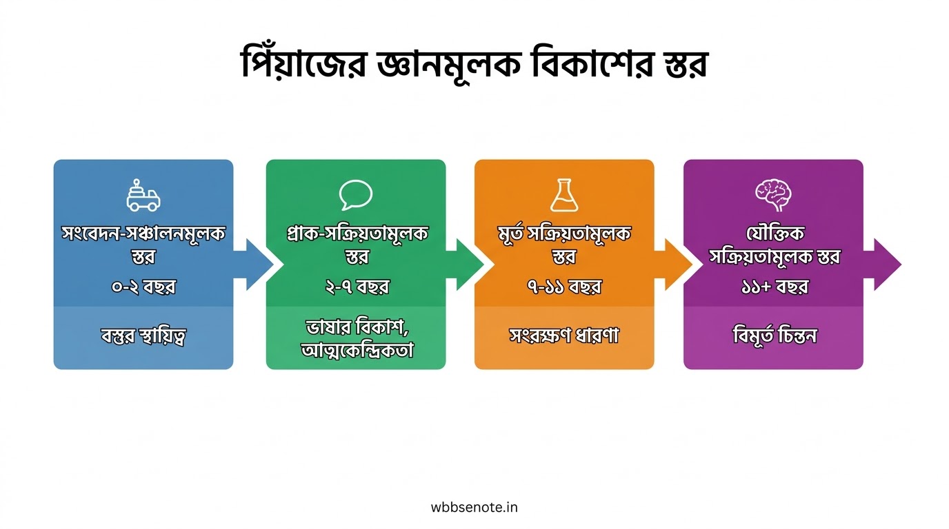WB Primary TET সম্পূর্ণ গাইড ২০২৭ PDF | Syllabus MCQ শিশু বিকাশ গণিত পরিবেশ বিজ্ঞান | পশ্চিমবঙ্গ প্রাইমারি টেট Books Pdf